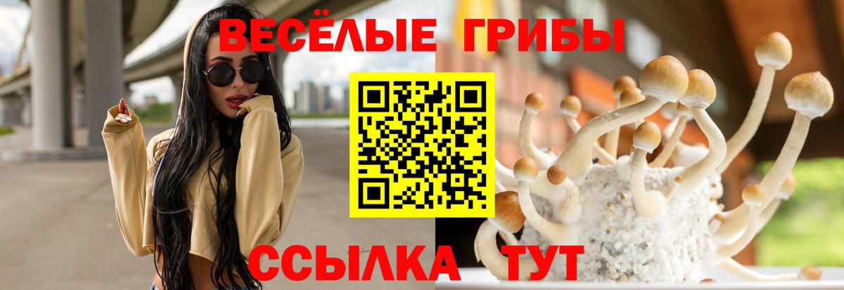 Лобня  Галлюциногенные грибы мицелий  Вход с VPN 